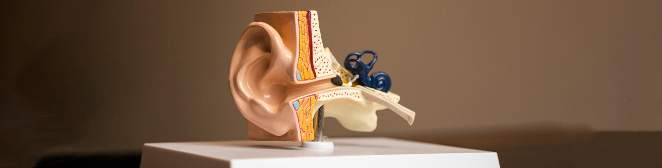Cochlear Implant: A revolutionary bionic ear